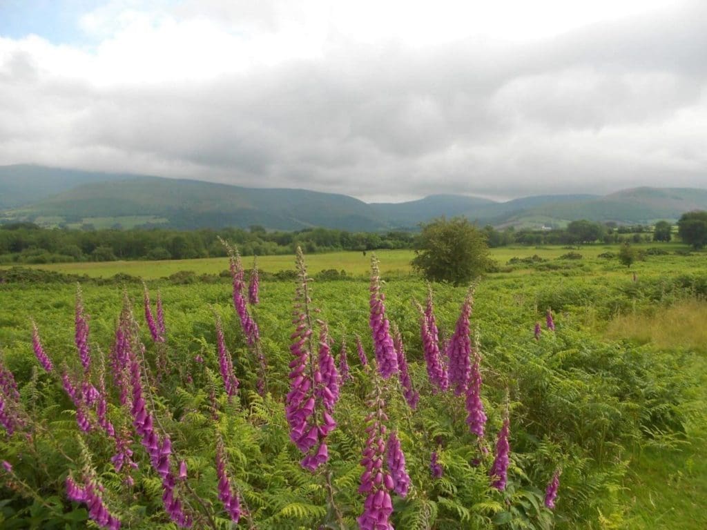 Brecon Beacons