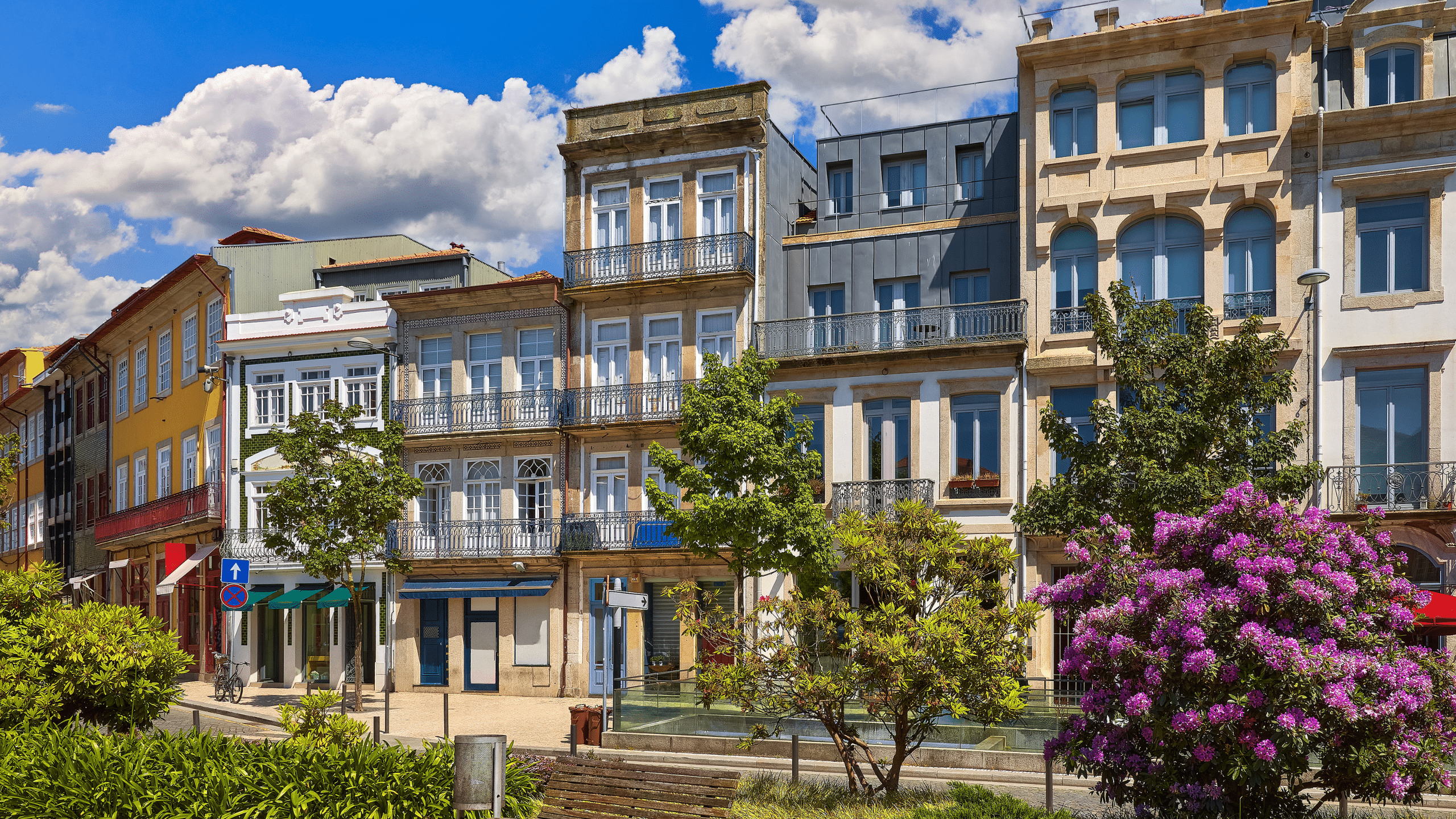 porto, portugal colorful spring blossoms