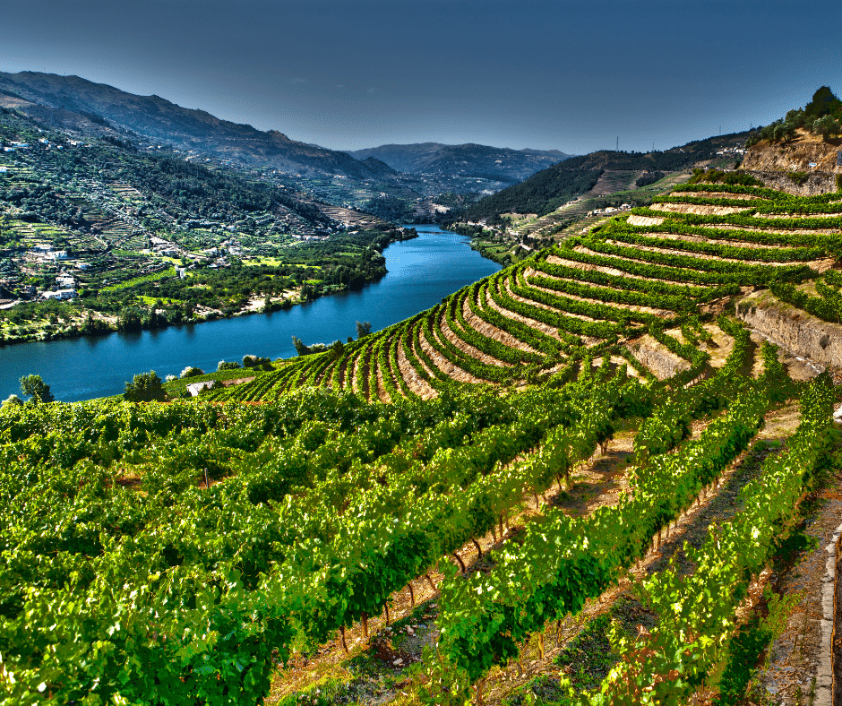 Landscape in Douro Valley, Portugal