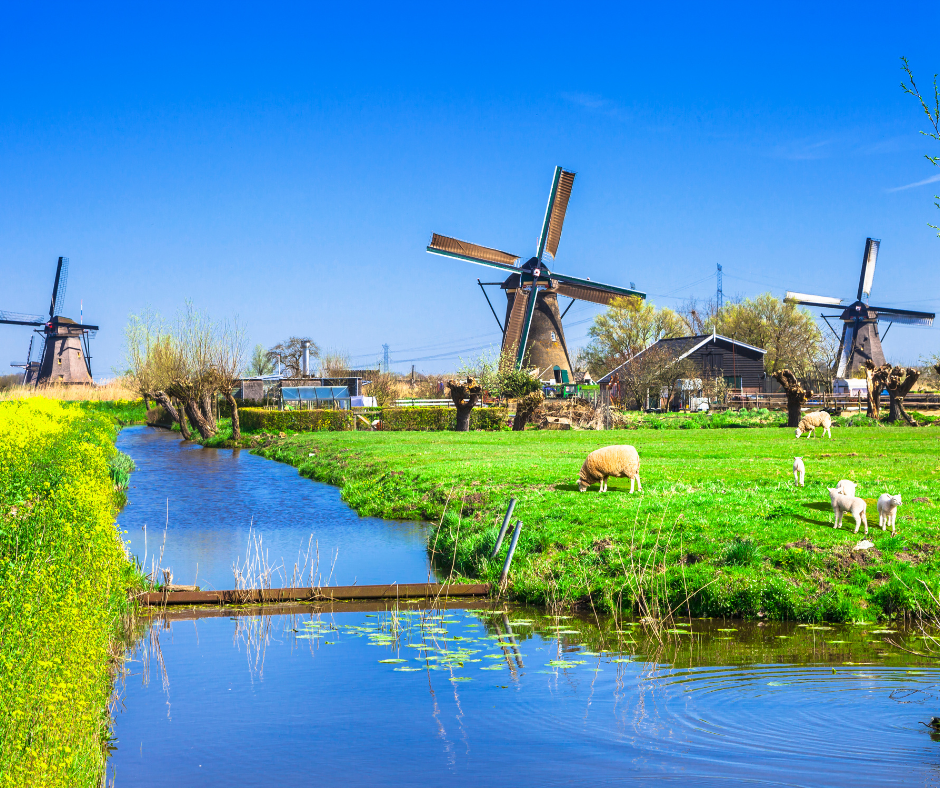 traditional windmills in Kinderdijk, Netherlands