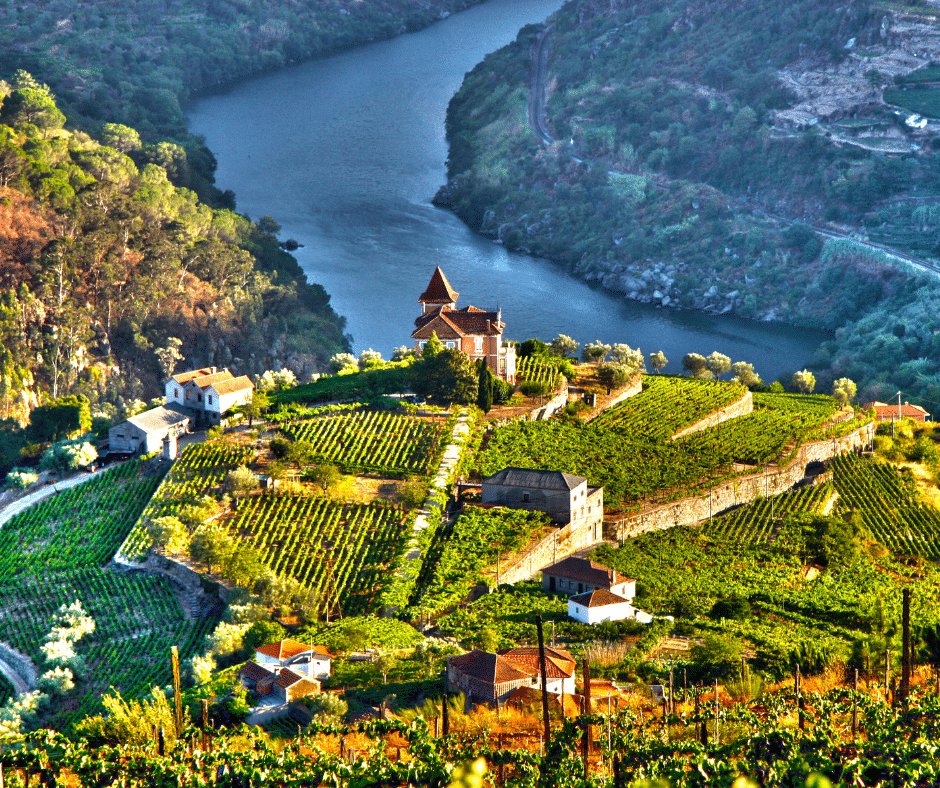 Aerial view and river with wine estate in Douro Valley, Portugal