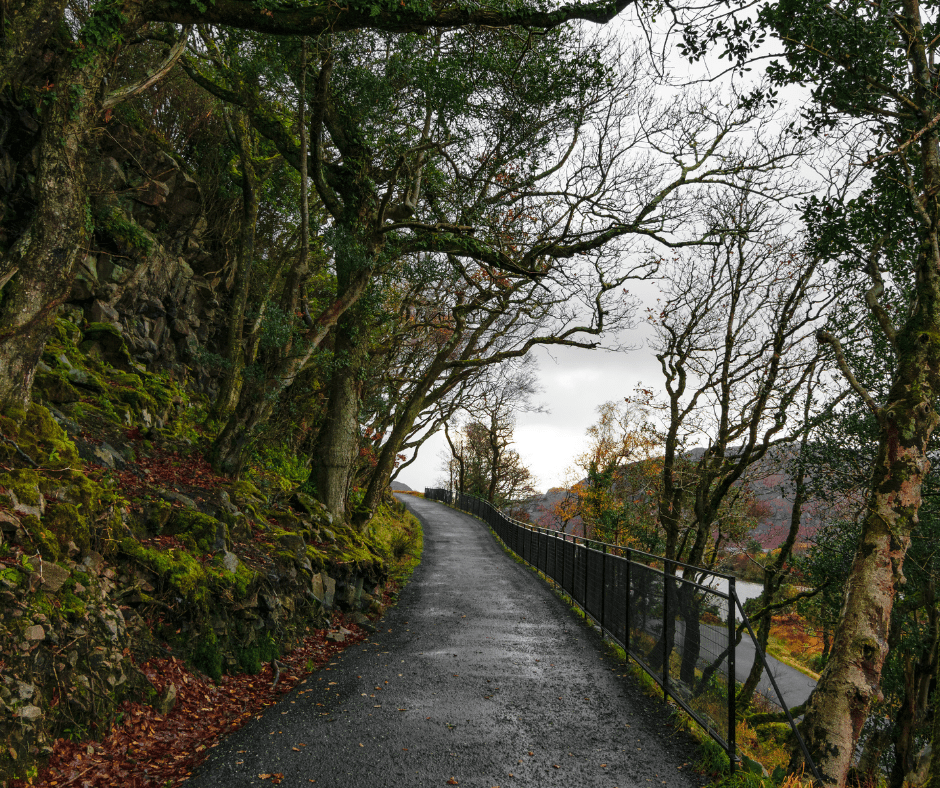 Glenveagh National Park in County Donegal during autumn, with golden foliage, misty hills, and a scenic trail leading through colorful woodlands beside a tranquil lake.