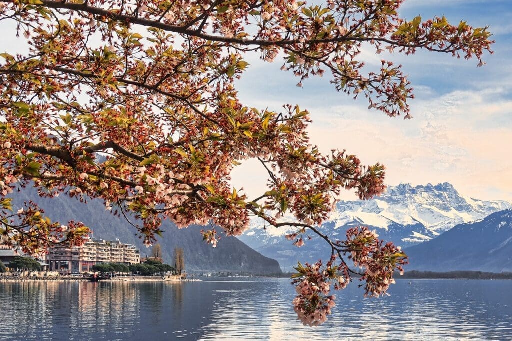 montreux lakeside walk